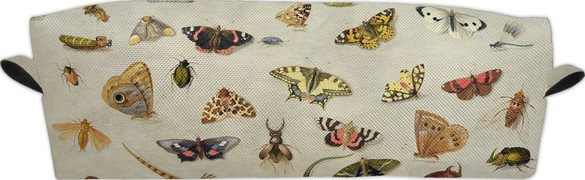 Piórnik Studium owadów Jan van Kessel (starszy) 