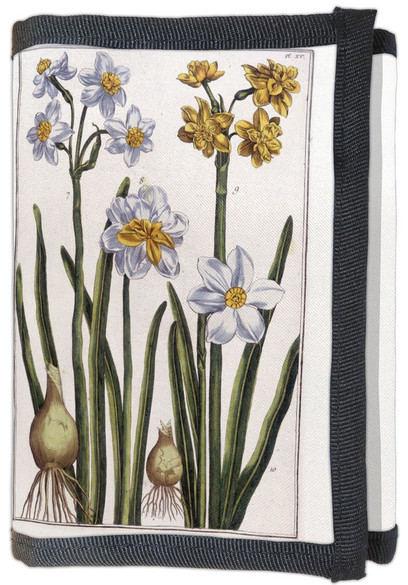 Portfel Narcyz Maria Sibylla Merian