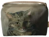 Studium głowy kota tabby