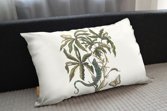 Poduszka Cassave Maria Sibylla Merian