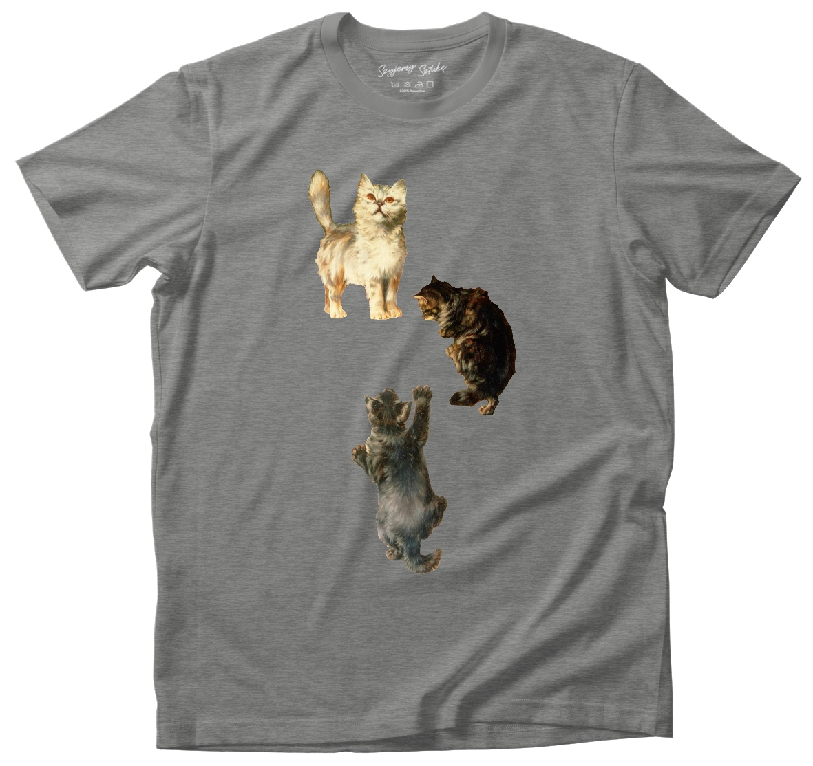 Koszulka Koty William Henry Hamilton Trood– koszulka z nadrukiem obrazu, t-shirt ze sztuką