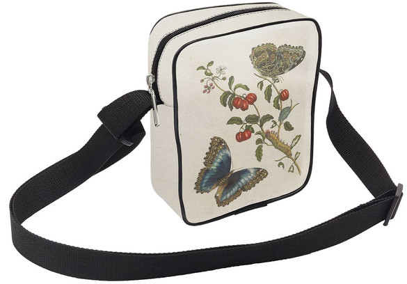 Listonoszka Great Blue Butterflies and Red Fruits Maria Sibylla Merian