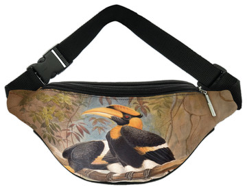 Nerka Concave casque Hornbill Joseph Wolf