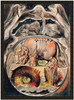 Behemoth i lewiatan