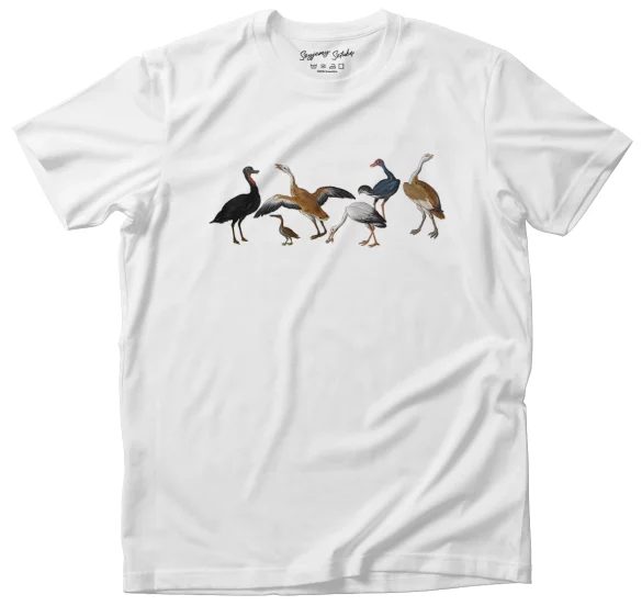 Koszulka Czaple i kaczki na rzece Jan van Kessel (starszy) 