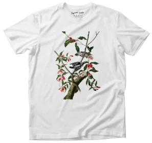 Koszulka Downy Woodpecker  James Audubon