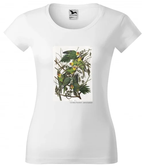 Bluzka damska Carolina Parakeet James Audubon