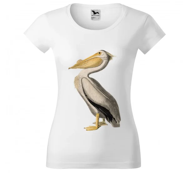 Bluzka damska American White Pelican James Audubon