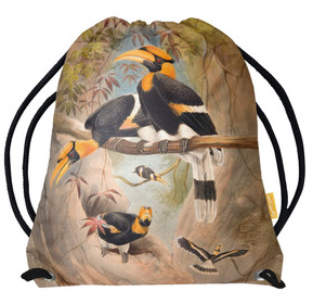 Worek Concave casque Hornbill Joseph Wolf