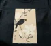 Koszulka z nadrukiem Wzgórze Myna na gałęzi magnolii Ohara Koson