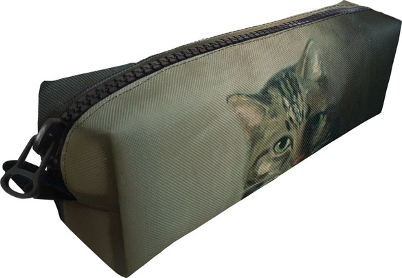 Piórnik Studium głowy kota tabby Louis Wain