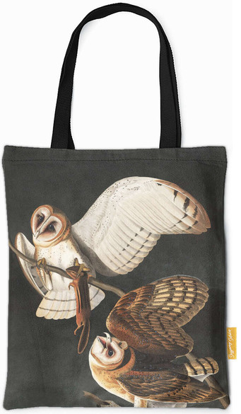 Torba na ramię Barn Owl, Tyto Alba James Audubon