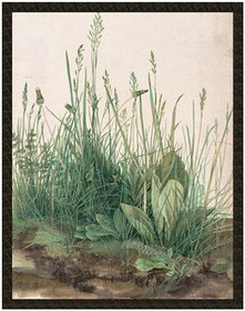 Naszywka Studium traw Albrecht Dürer