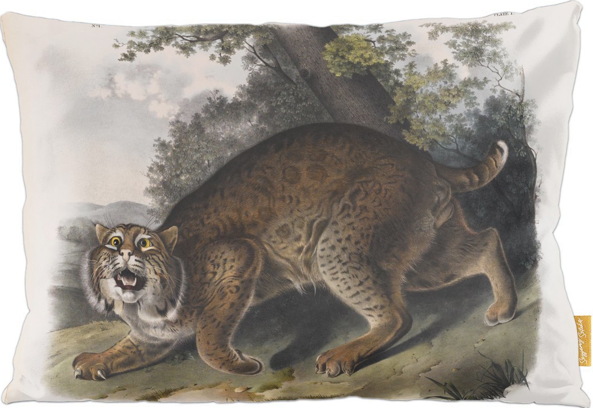 Poduszka dekoracyjna na prezent z obrazem Common American Wildcat James Audubon Szyjemy Sztukę
