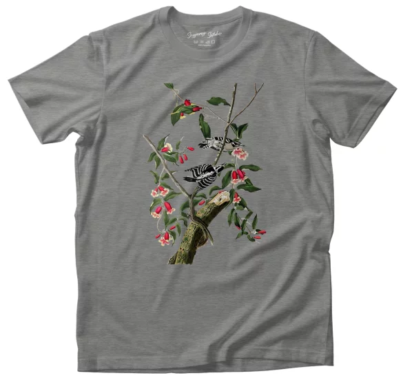 Koszulka Downy Woodpecker  James Audubon