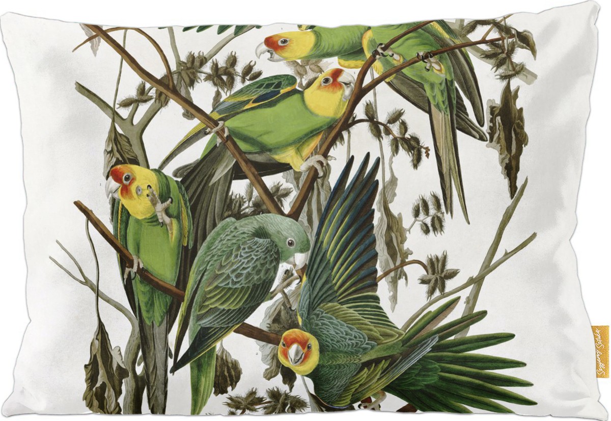 Poduszka dekoracyjna na prezent z obrazem Carolina Parakeet James Audubon Szyjemy Sztukę