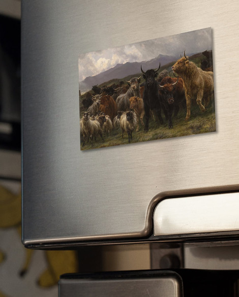 Magnes Wysokogórska łapanka Rosa Bonheur