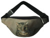 Studium głowy kota tabby