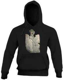 Bluza Księżniczka Łabędzia Mikhail Aleksandrovich Vrubel