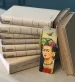 Zakładka do książki Frida z legwanem – portret inspirowany Fridą Kahlo