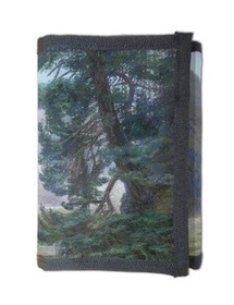 Portfel Tatry Leon Wyczółkowski