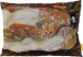 Poduszka Węże Wodne II Gustav Klimt 60x40 cm