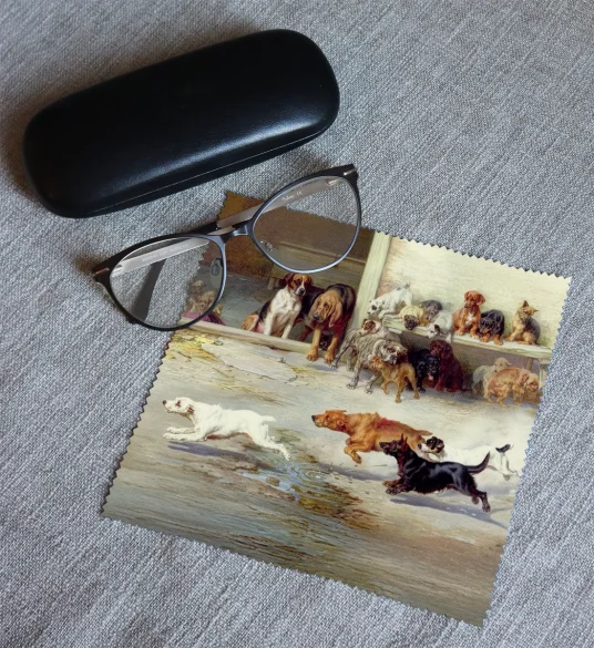 Ściereczka do okularów Gorący pościg William Henry Hamilton Trood