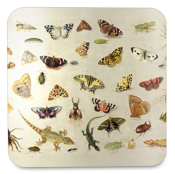 Podkładka pod kubek Studium owadów Jan van Kessel (starszy) 