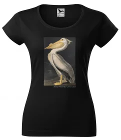 Bluzka damska American White Pelican James Audubon