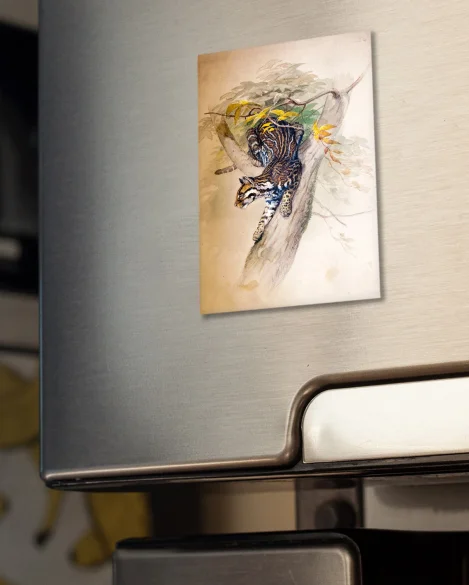 Magnes Ocelot Joseph Wolf