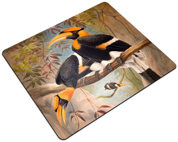 Podkładka Concave casque Hornbill Joseph Wolf 24x19cm