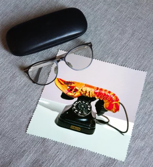 Ściereczka do okularów Telefon-homar Salvador Dali