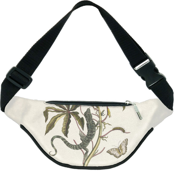 Nerka Cassave Maria Sibylla Merian