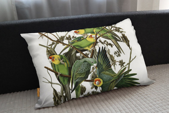 Poduszka Carolina Parakeet James Audubon