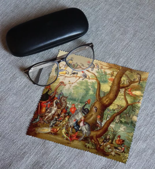 Ściereczka do okularów Koncert Ptaków Jan van Kessel (starszy) 