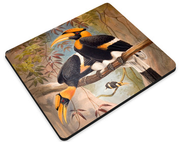 Podkładka Concave casque Hornbill Joseph Wolf 36x29cm