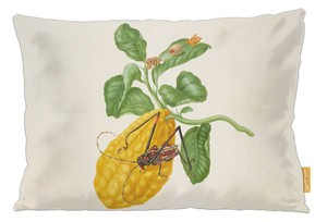 Poduszka Cytryna z gąsienicą małpy i chrząszczem harlekin Maria Sibylla Merian