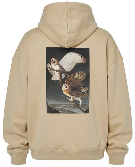 Bluza oversize Barn Owl, Tyto Alba James Audubon