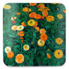 Marigolds