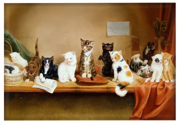 Magnes Prawa kobiet - spotkanie William Henry Hamilton Trood