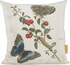 Great Blue Butterflies and Red Fruits
