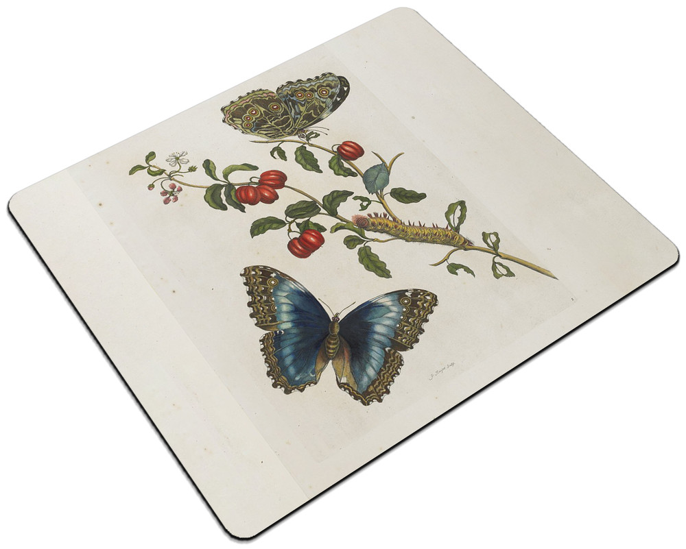 Podkładka Great Blue Butterflies and Red Fruits Maria Sibylla Merian 24x19cm