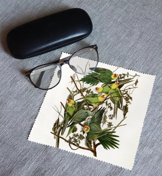 Ściereczka do okularów Carolina Parakeet James Audubon