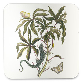 Podkładka pod kubek Cassave Maria Sibylla Merian