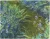 Irysy || Irysy Claude Monet