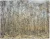 Der Buchenwald