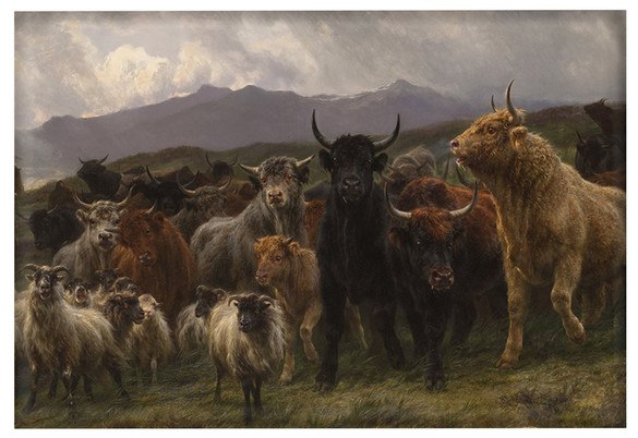 Magnes Wysokogórska łapanka Rosa Bonheur