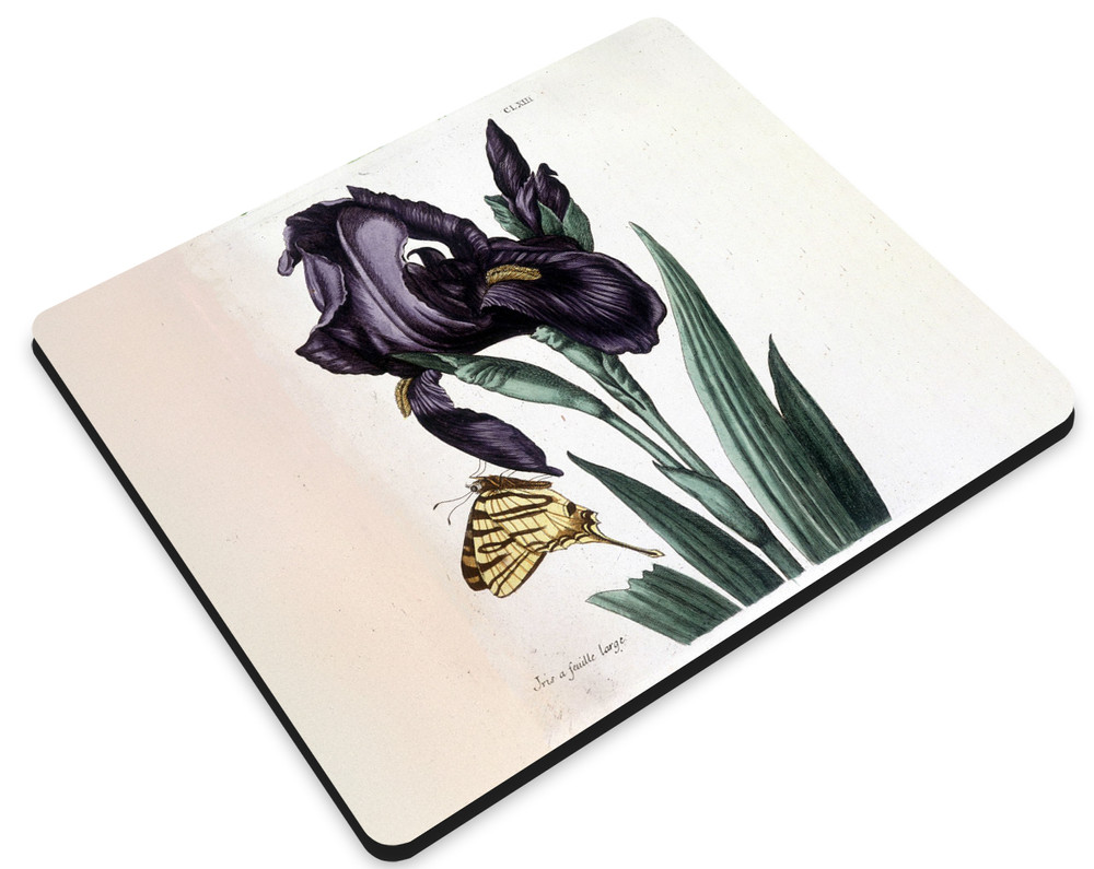 Podkładka Irys szerokolistny Maria Sibylla Merian 36x29cm