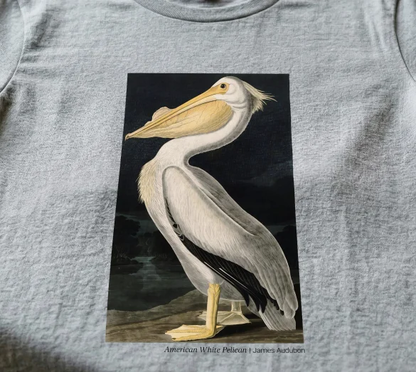 Koszulka z nadrukiem American White Pelican James Audubon