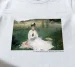 Koszulka z nadrukiem Czytanie (portret Edmy Morisot) Berthe Morisot